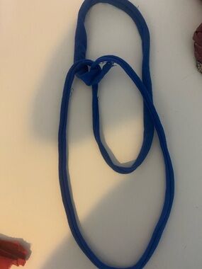 Blue Dog Slip Lead Leash - Durable Everyday Walk Lead